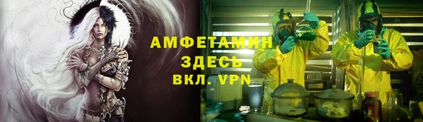 прущие грибы Арсеньев