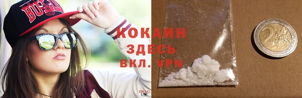 прущие грибы Арсеньев