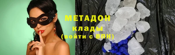 прущие грибы Арсеньев